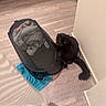 Mr. Moonlight joined the competition — help win amazing prizes! black_cat, cat, pet, indoor, floor, laundry_hamper, clothes, towel, curious, yellow_eyes, furniture, corner, wooden_floor, domestic, home, curtain, striped_curtain, sleepy_cat, cozy, animal