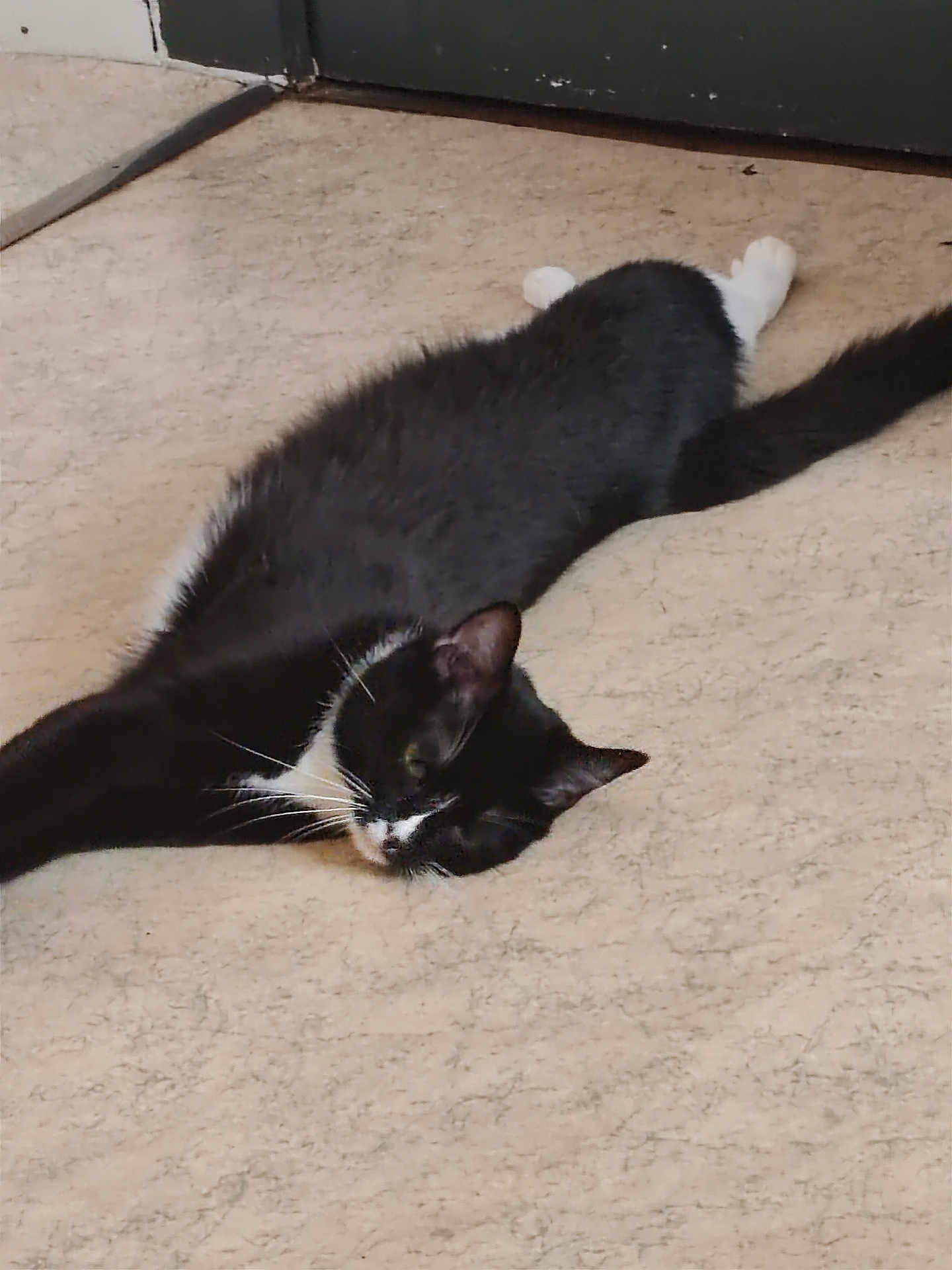 Luna