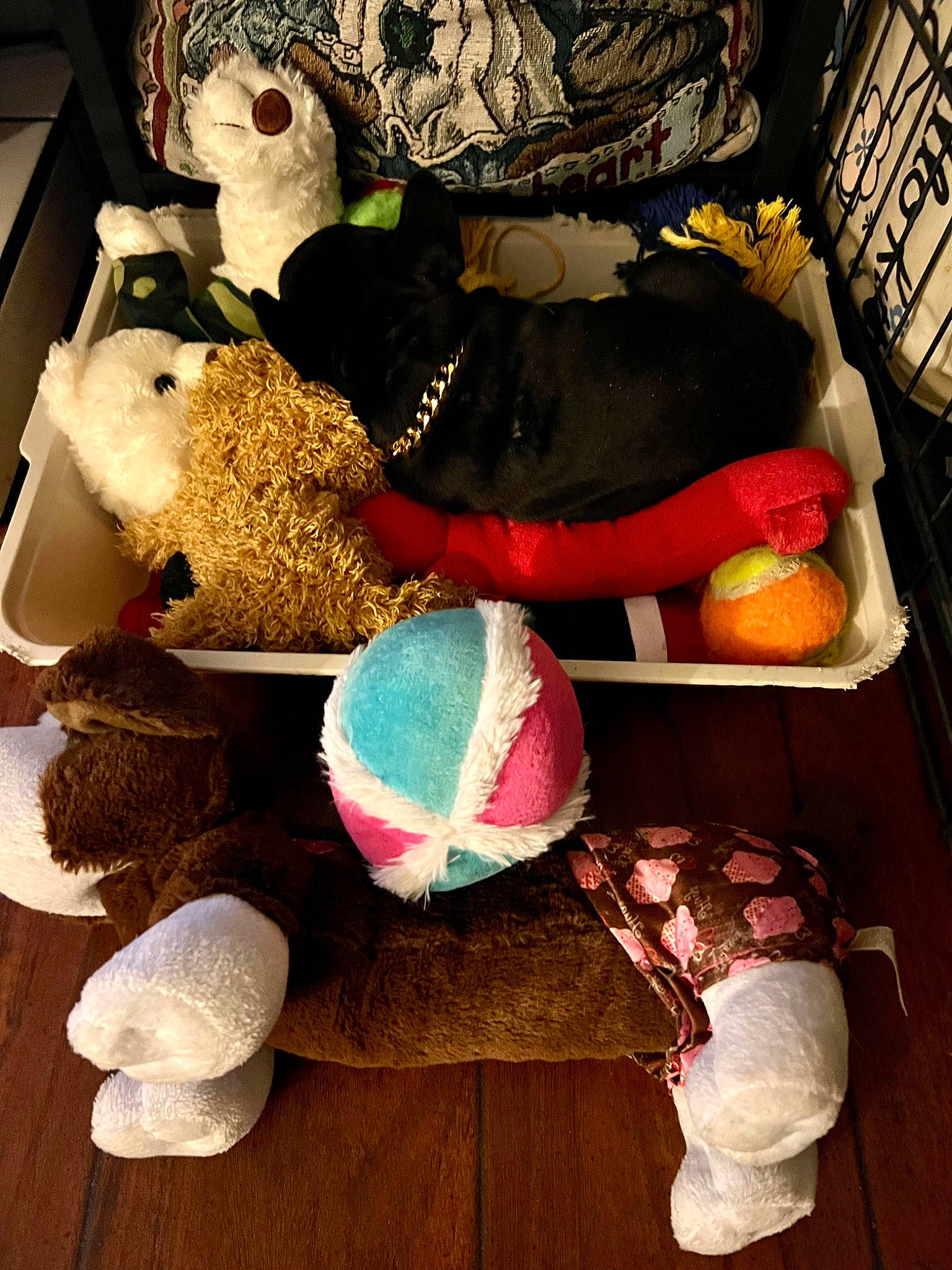 Onyx joined the competition — help win amazing prizes! art, bag, cap, carmine, fashion_accessory, fur, hat, headgear, linens, luggage_and_bags, plush, room, stuffed_toy, teddy_bear, textile, thread, toy, wood, wool, woolen