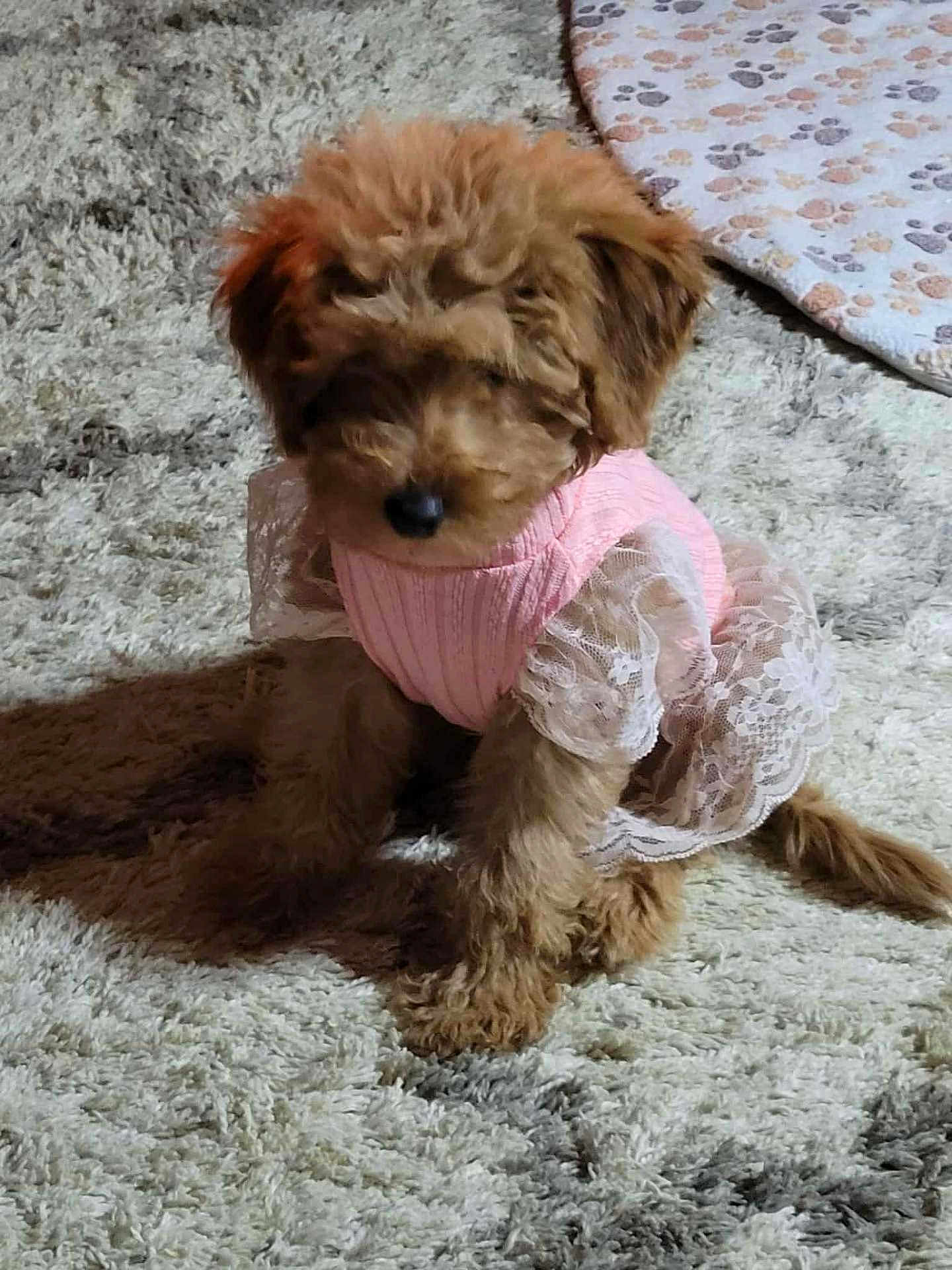 Tilly