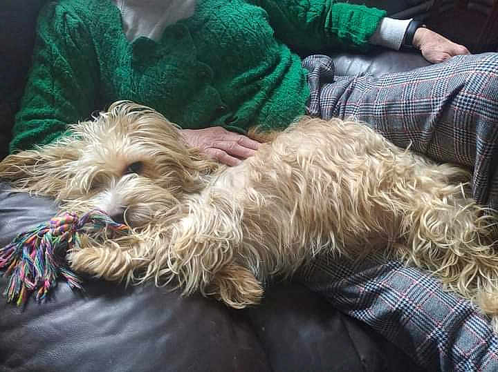 Max