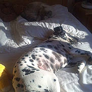 Parchis a rejoint le concours — aidez-le/la à gagner de superbes lots !