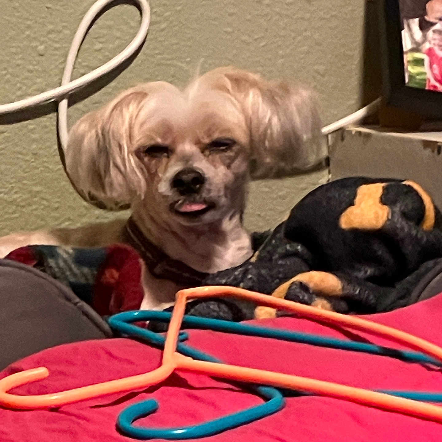 Penny