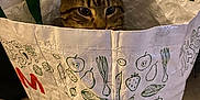 Savanah participe au concours pour gagner de l'argent avec cette photo : animal, cat, closeup, container, curious, domestic, doodles, ears, fabric, floor, fruit, grocery_bag, hiding, indoor, pattern, peek, pet, tabby, vegetables, whiskers