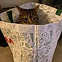 animal, cat, closeup, container, curious, domestic, doodles, ears, fabric, floor, fruit, grocery_bag, hiding, indoor, pattern, peek, pet, tabby, vegetables, whiskers