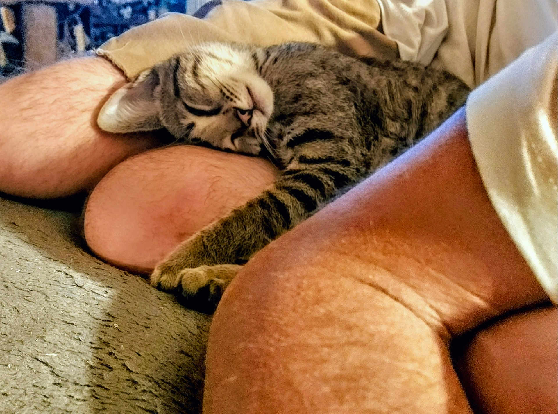 Max