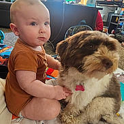 Mylo joined the competition — help win amazing prizes! baby, child, dog, pet, indoor, living_room, toy, play_mat, curtains, furniture, carpet, onesie, floor, person, animal, friendship, candid, soft_lighting, cute, toddler