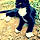 Tazzy
