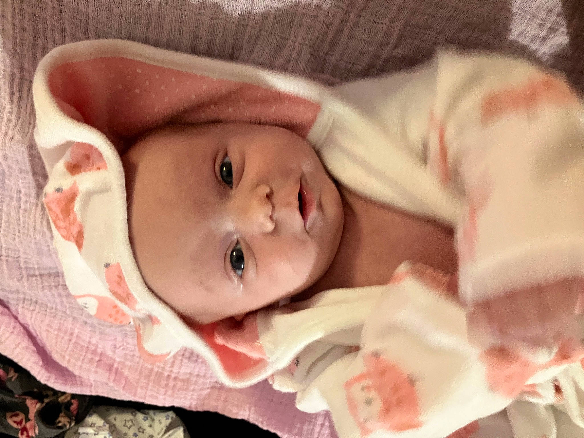 Alayah joined the competition — help win amazing prizes! baby, baby_products, baby_toddler_clothing, cheek, child, close_up, eye, eyelash, face, happy, headwear, human_body, iris, lip, nose, person, pink, skin, smile, toddler