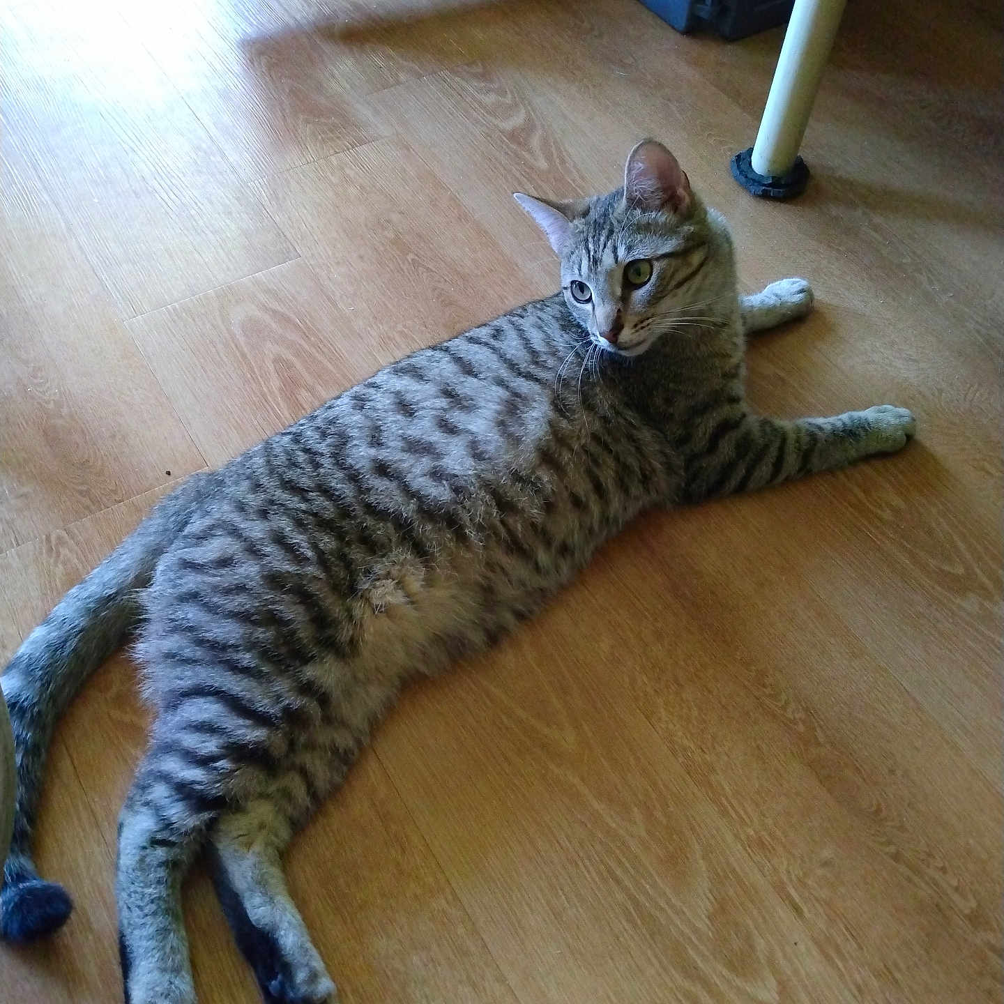 Max