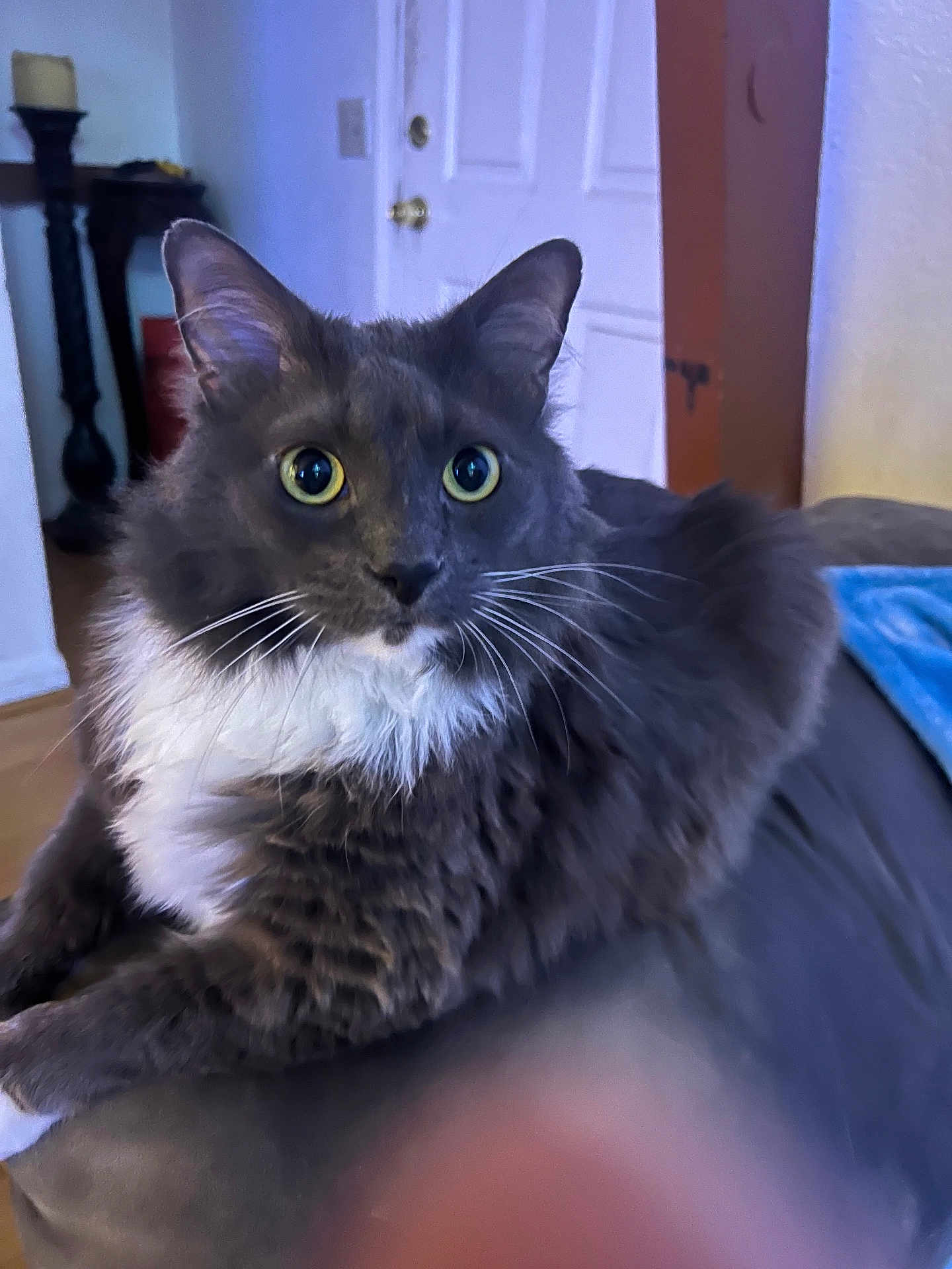 Meep