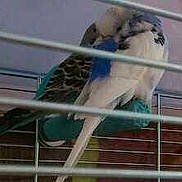 Turquoise a rejoint le concours — aidez-le/la à gagner de superbes lots !