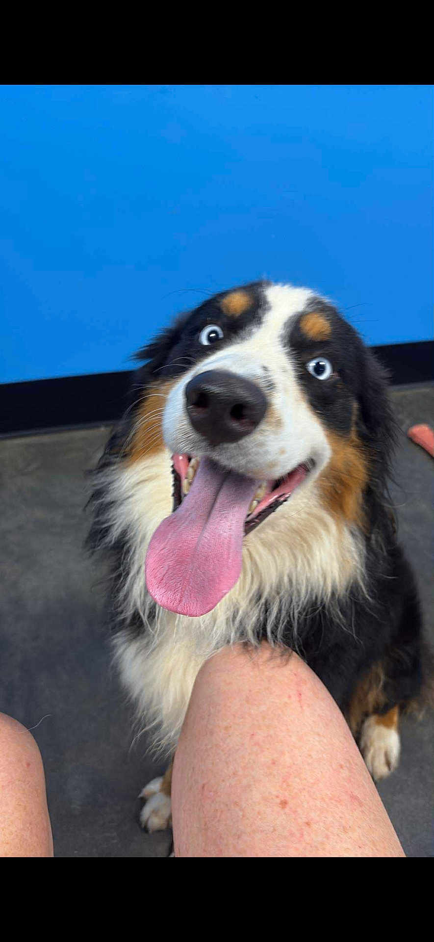 Krypto
