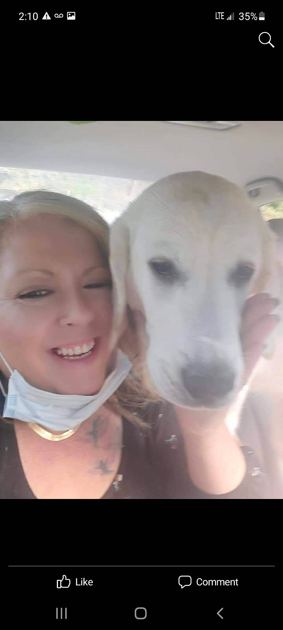 Patty is registered to the contest to win money with this photo: carnivore, companion_dog, dog, dog_breed, ear, eyebrow, eyelash, fawn, flash_photography, gesture, happy, iris, jaw, mouth, neck, nose, selfie, skin, smile, working_animal