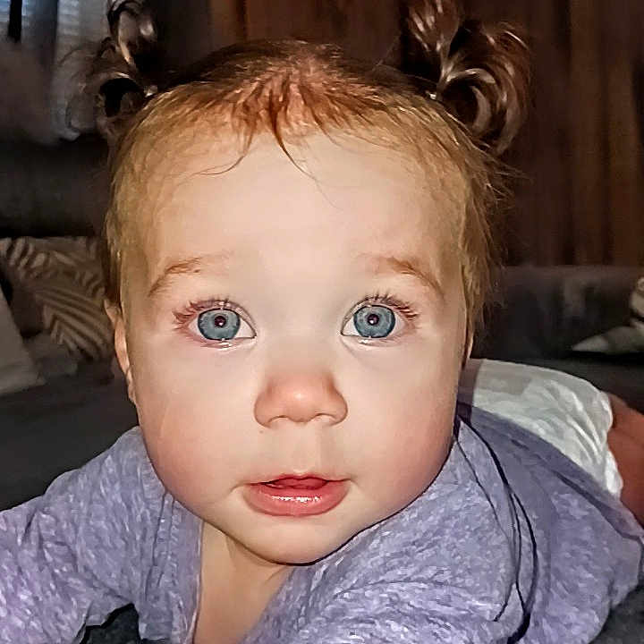 Amora is registered to the contest to win money with this photo: baby, blue_eyes, carpet, child, closeup, crawling, curious, cute, expression, face, home, indoor, infant, person, pigtails, portrait, purple_clothing, skin, soft_lighting, young