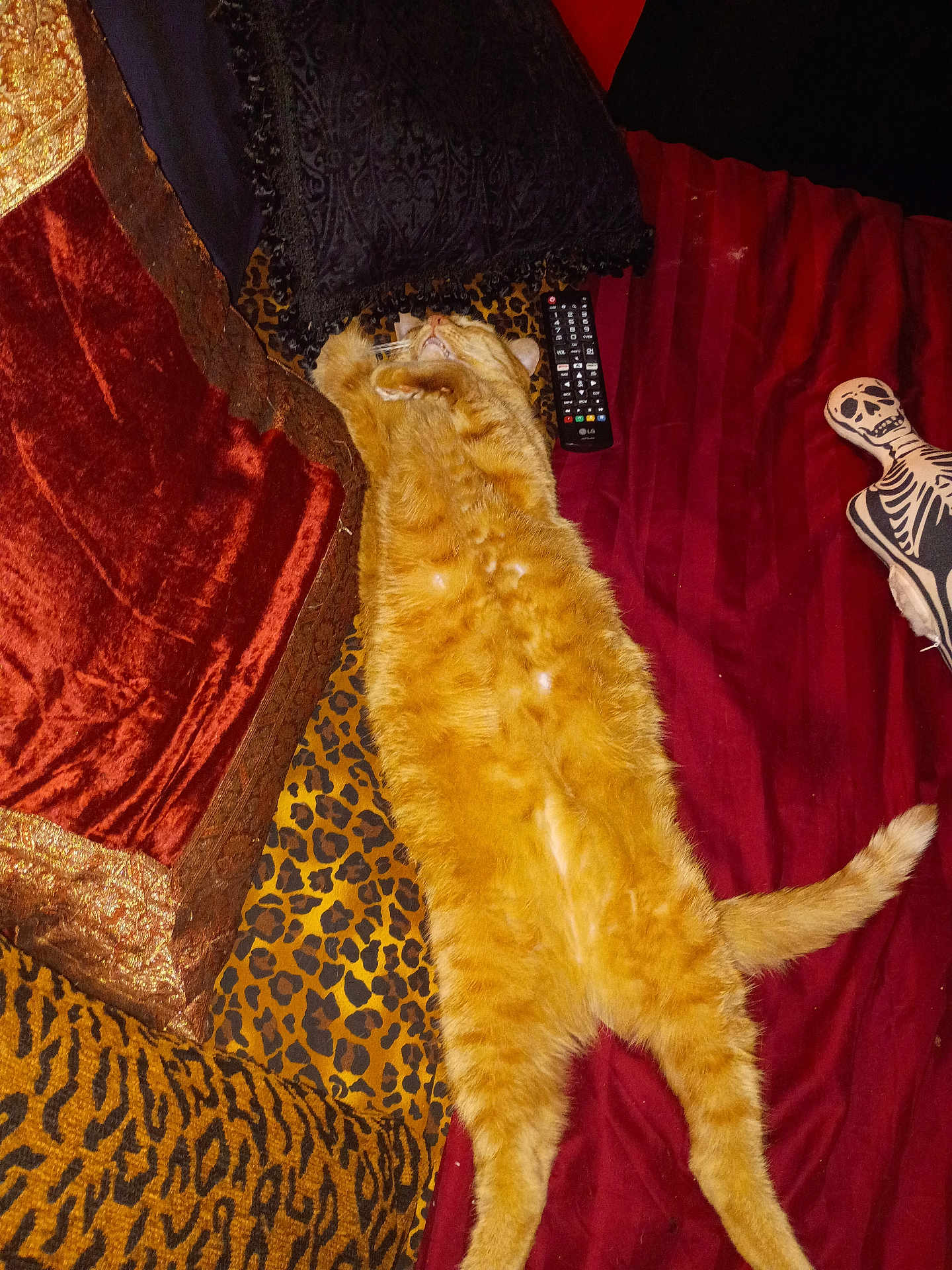 Marmalade