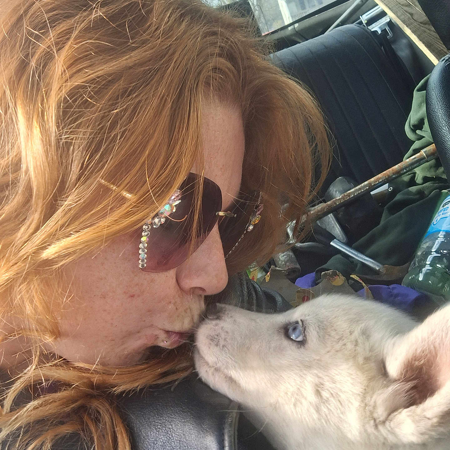 Simba is registered to the contest to win money with this photo: affection, animal, blue_eyes, candid, car_interior, casual_clothing, close_up, daylight, dog, friendship, indoor, love, nose_to_nose, person, pet, red_hair, seat, seatbelt, sunglasses, window