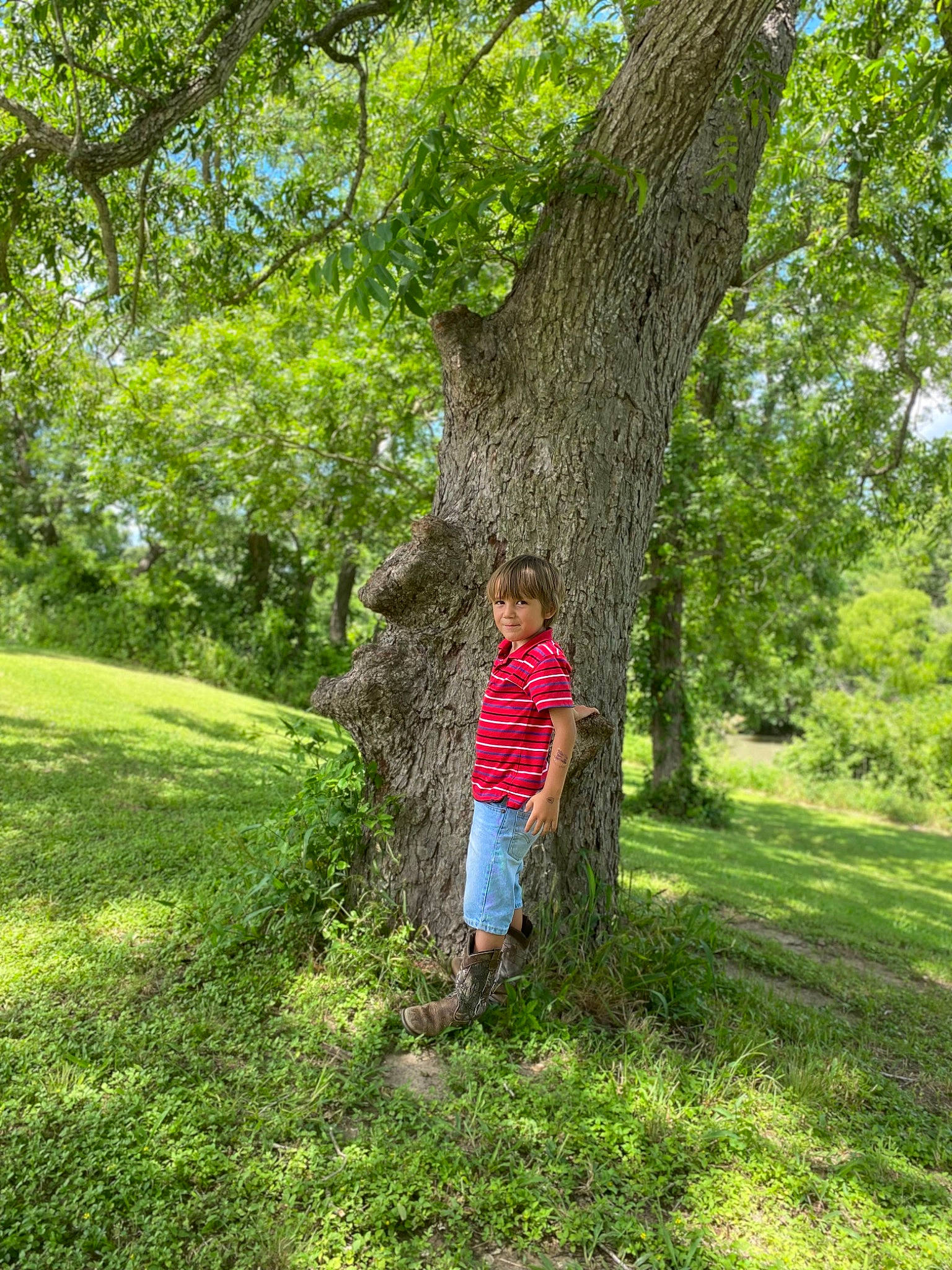 Kaden joined the competition — help win amazing prizes! branch, deciduous, forest, grass, grassland, green, groundcover, happy, landscape, leisure, natural_landscape, people_in_nature, person, plant, shrub, terrestrial_plant, tints_and_shades, tree, trunk, wood