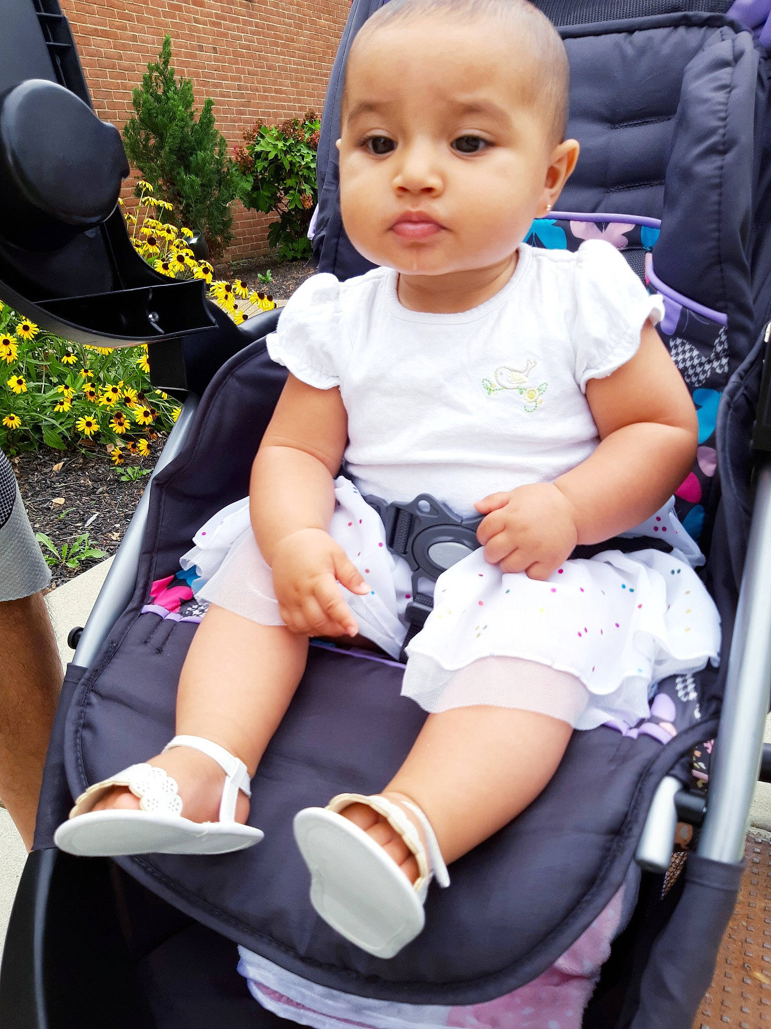 Giana joined the competition — help win amazing prizes! auto_part, baby, baby_carriage, baby_products, car_seat, child, leg, person, product, sitting, toddler