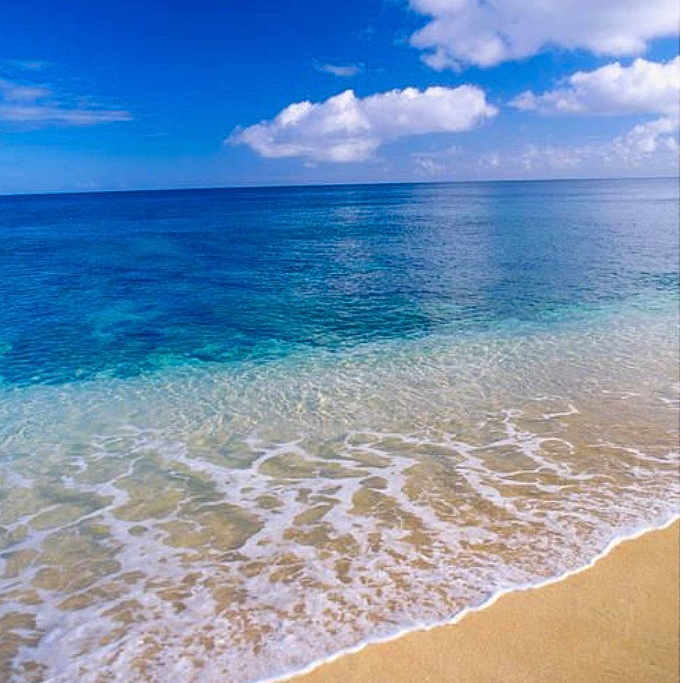 Inês participe au concours pour gagner de l'argent avec cette photo : aqua, atmosphere, azure, beach, blue, cloud, coastal_and_oceanic_landforms, cumulus, electric_blue, horizon, landscape, natural_landscape, palm_tree, rectangle, sky, tree, water, water_resources, wind, wind_wave