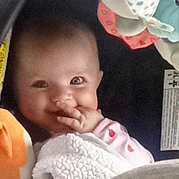 Zalynn