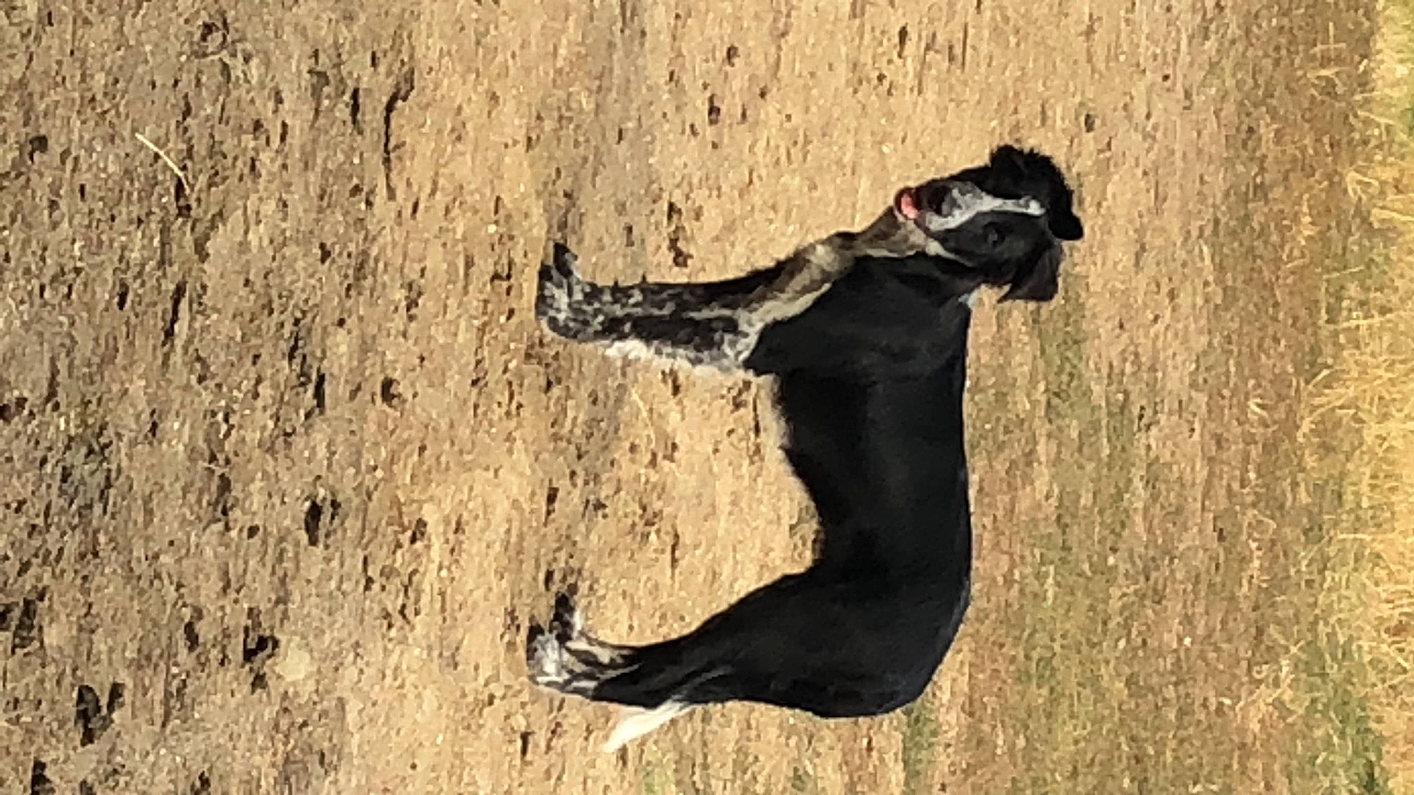 Taia a rejoint le concours — aidez-le/la à gagner de superbes lots ! adventure, dress, grass, happy, human_leg, knee, landscape, people_in_nature, plant, player, recreation, running, shadow, soil, sports, sunglasses, tail, tree, trunk, wood