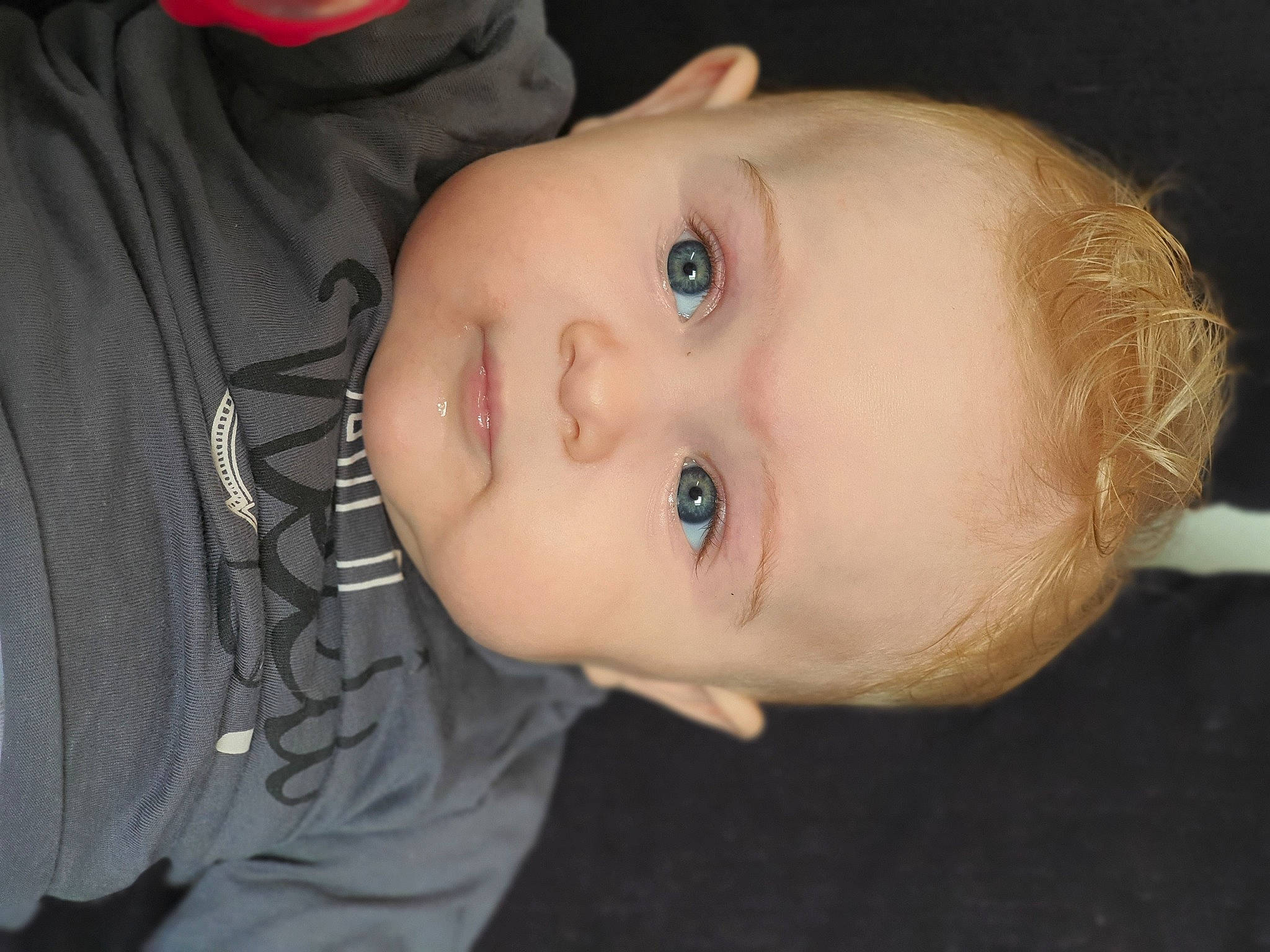 Iléan participe au concours pour gagner de l'argent avec cette photo : baby, cheek, child, chin, close_up, ear, eye, eyebrow, face, forehead, head, iris, jaw, lip, mouth, neck, nose, organ, person, skin