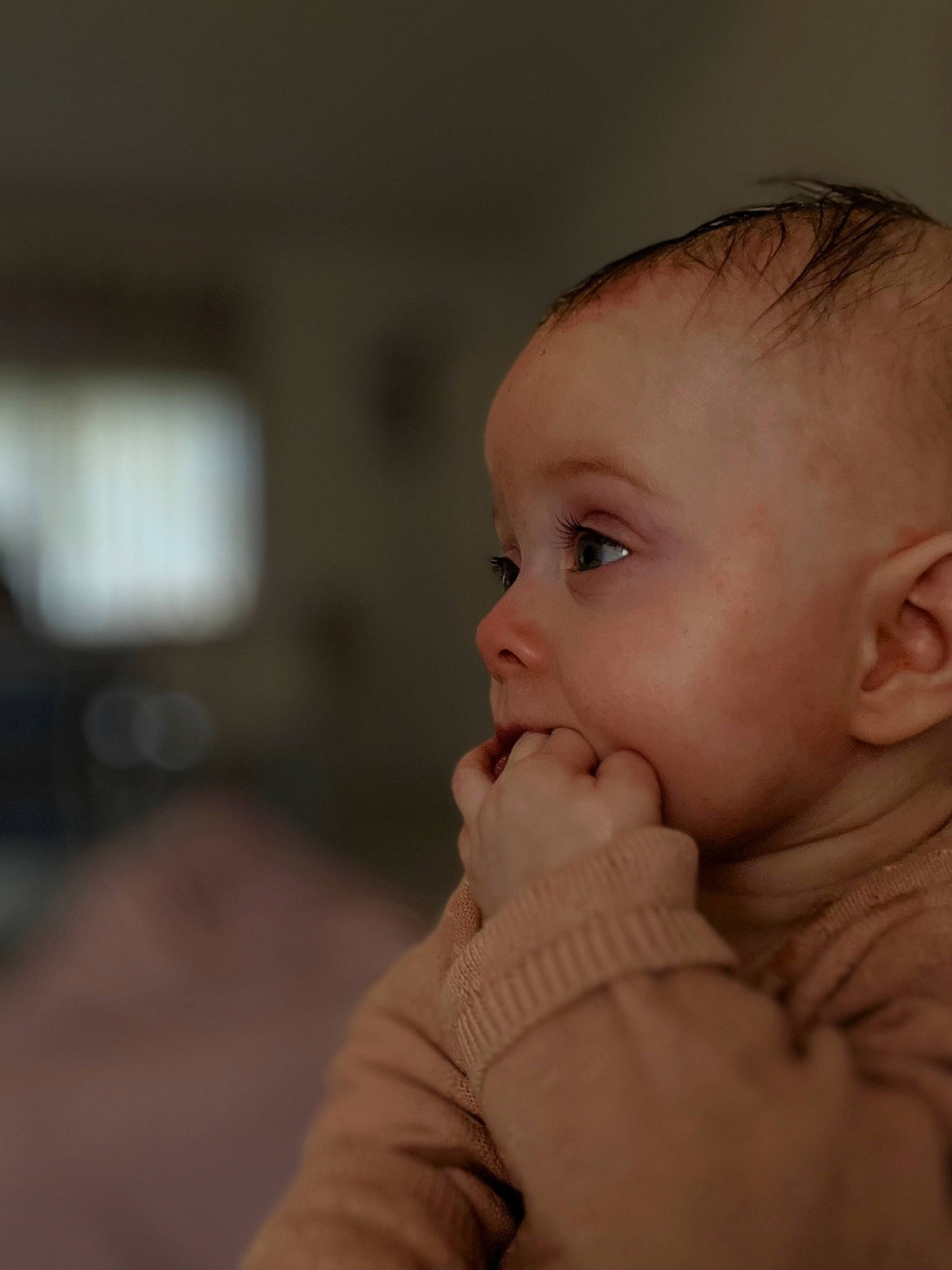Alba participe au concours pour gagner de l'argent avec cette photo : arm, baby, baby_toddler_clothing, cheek, child, comfort, ear, elbow, eyelash, flash_photography, gesture, happy, human_body, iris, lip, nose, person, skin, sleeve, thumb