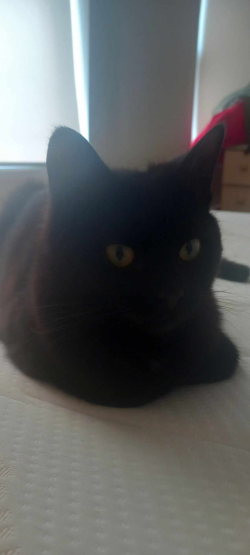 Salem