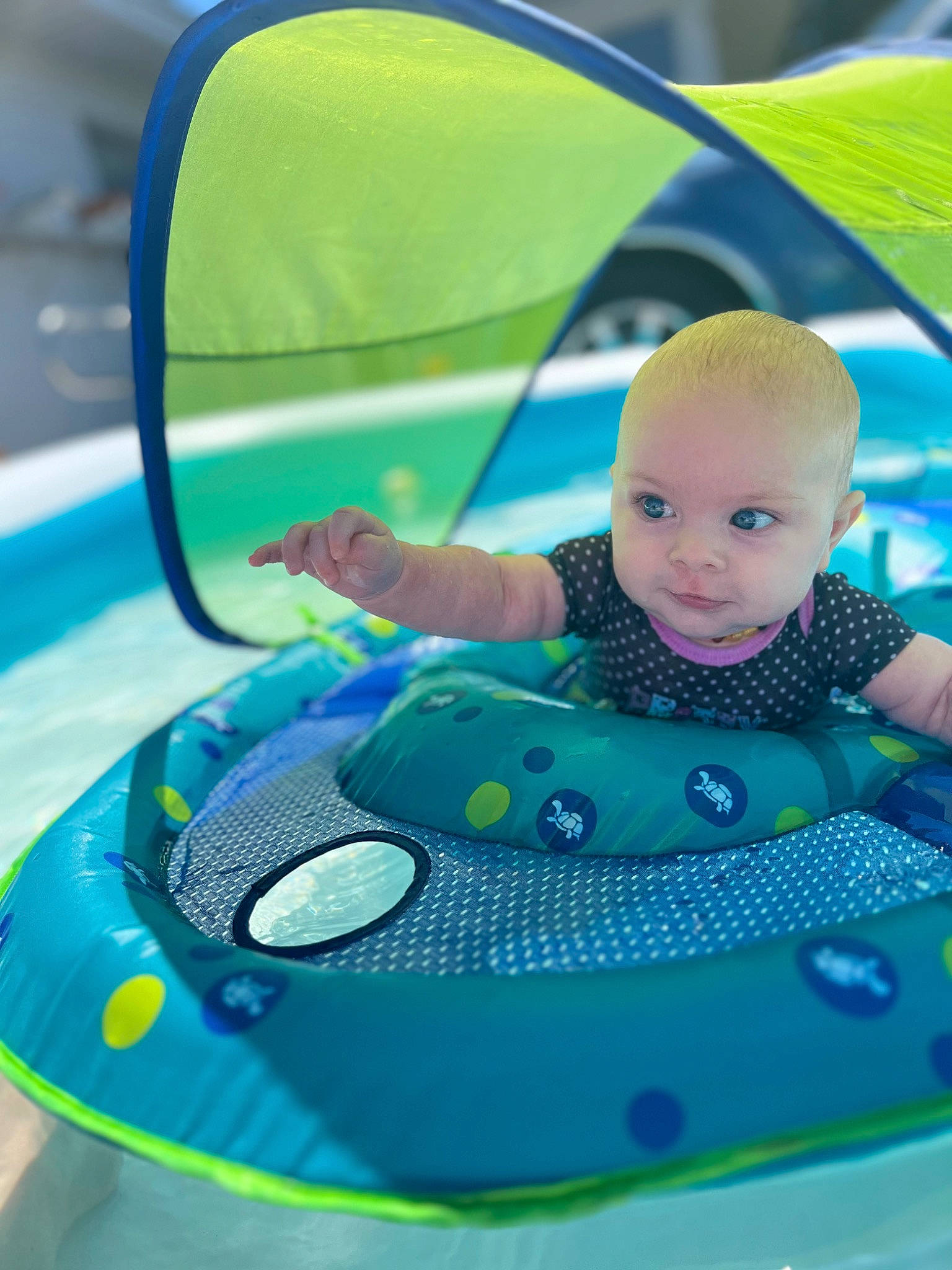 Penelope joined the competition — help win amazing prizes! aqua, baby, baby_carriage, baby_float, baby_products, baby_safety, baby_toddler_clothing, baby_toys, electric_blue, fun, grass, green, leisure, person, personal_protective_equipment, play, recreation, sitting, toddler, toy