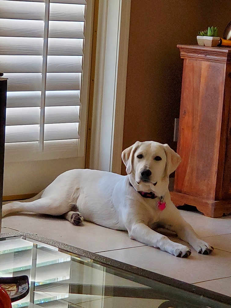 Harlee