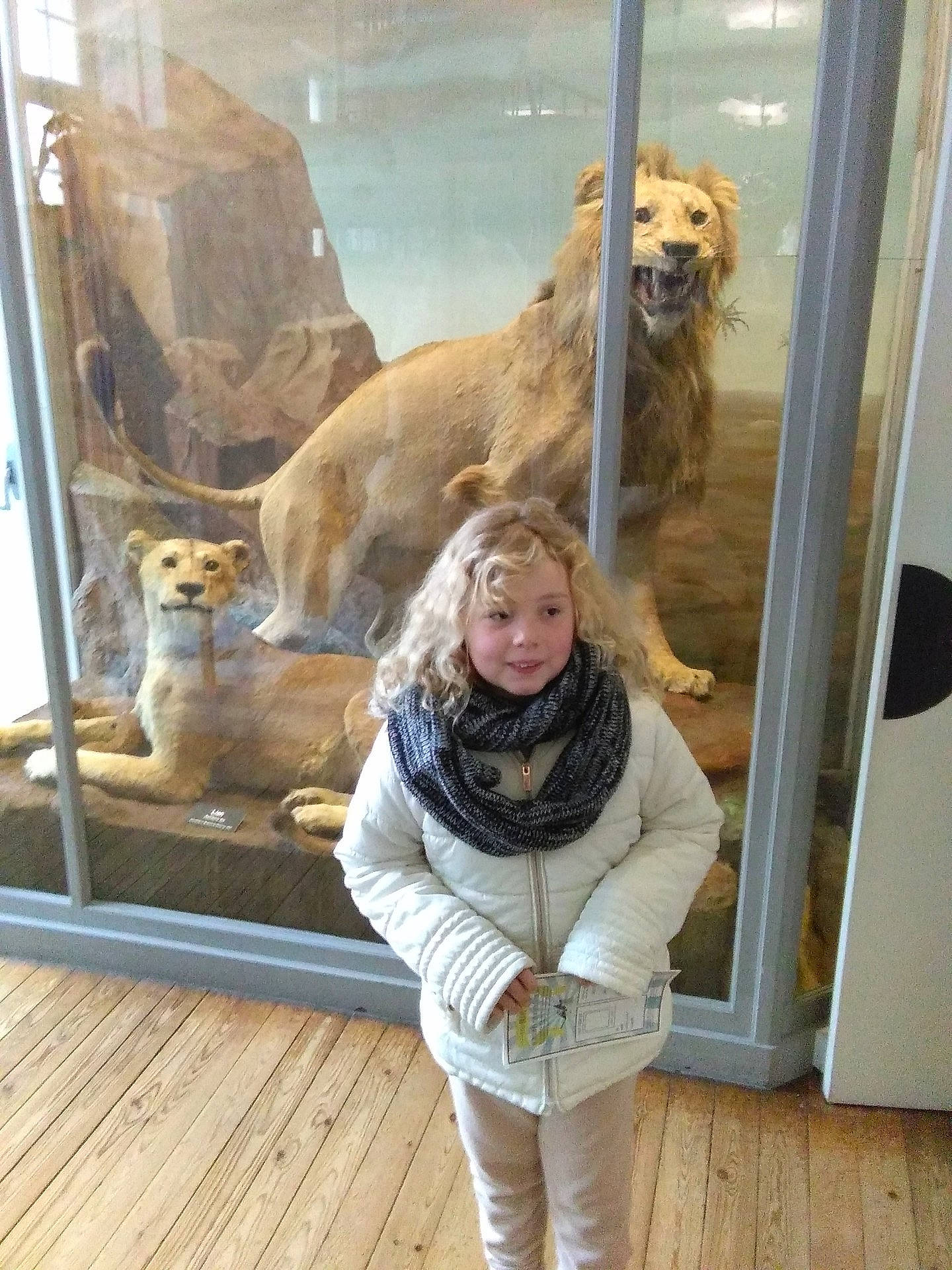 Camille participe au concours pour gagner de l'argent avec cette photo : animal_shelter