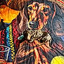 dog, dachshund, puppy, blanket, colorful, sombrero, animal, pet, laying_down, pattern, fabric, indoor, cute, brown, spotted, portrait, resting, art, illustration, texture