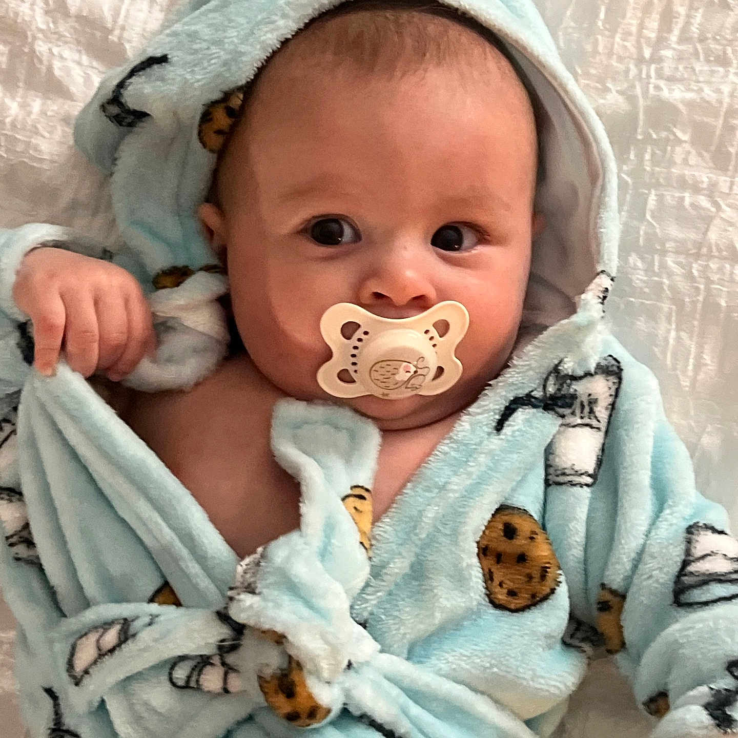 Aksel joined the competition — help win amazing prizes! baby, bed, blanket, child, comfort, cookie, cute, expression, face, hand, hood, indoors, infant, milk, pacifier, portrait, robe, sleepwear, soft, warm