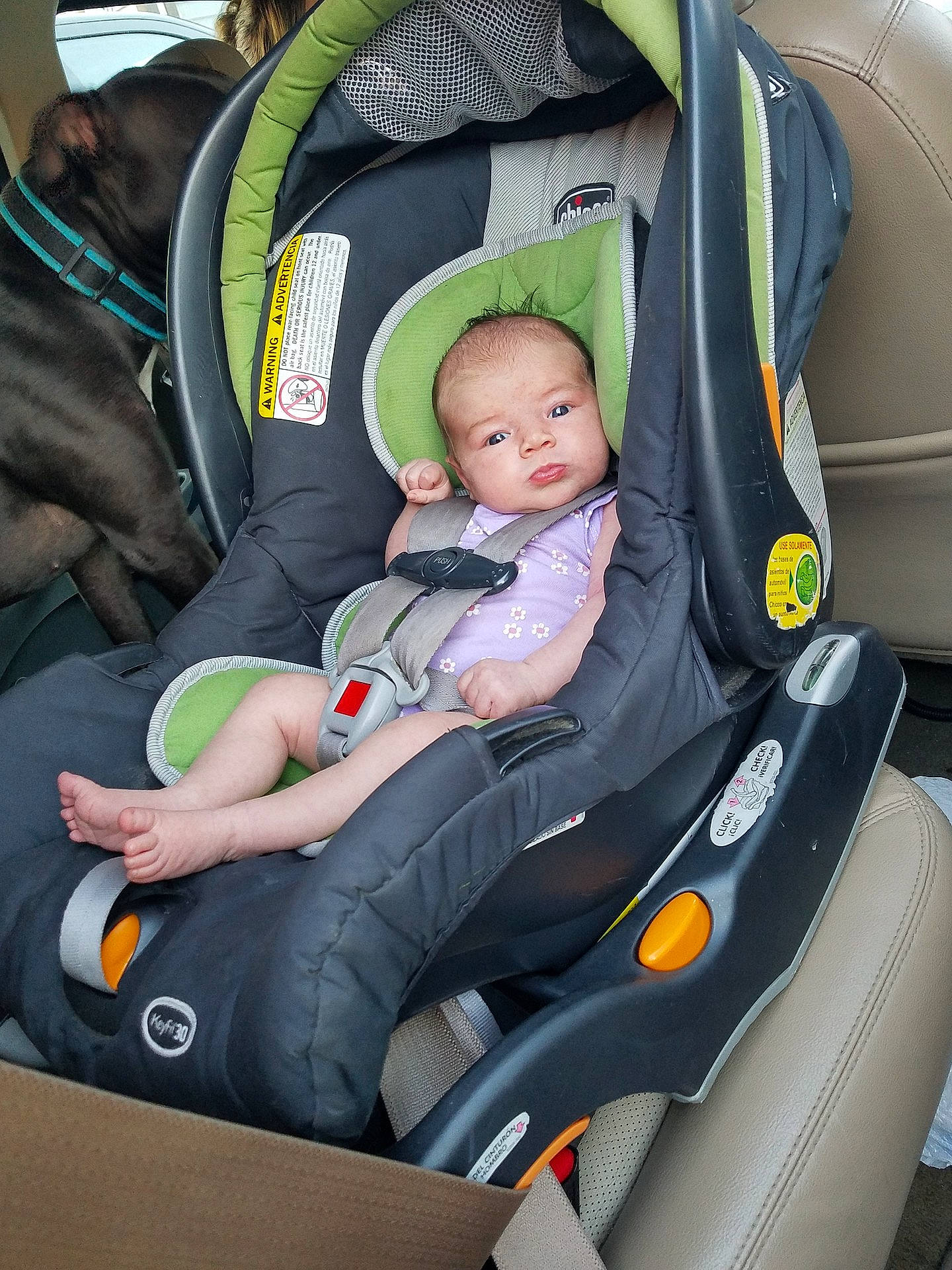 Sarah is registered to the contest to win money with this photo: automotive_design, baby_carriage, baby_products, car, car_seat, car_seat_cover, child, city_car, comfort, compact_car, motor_vehicle, person, product, toddler, vehicle