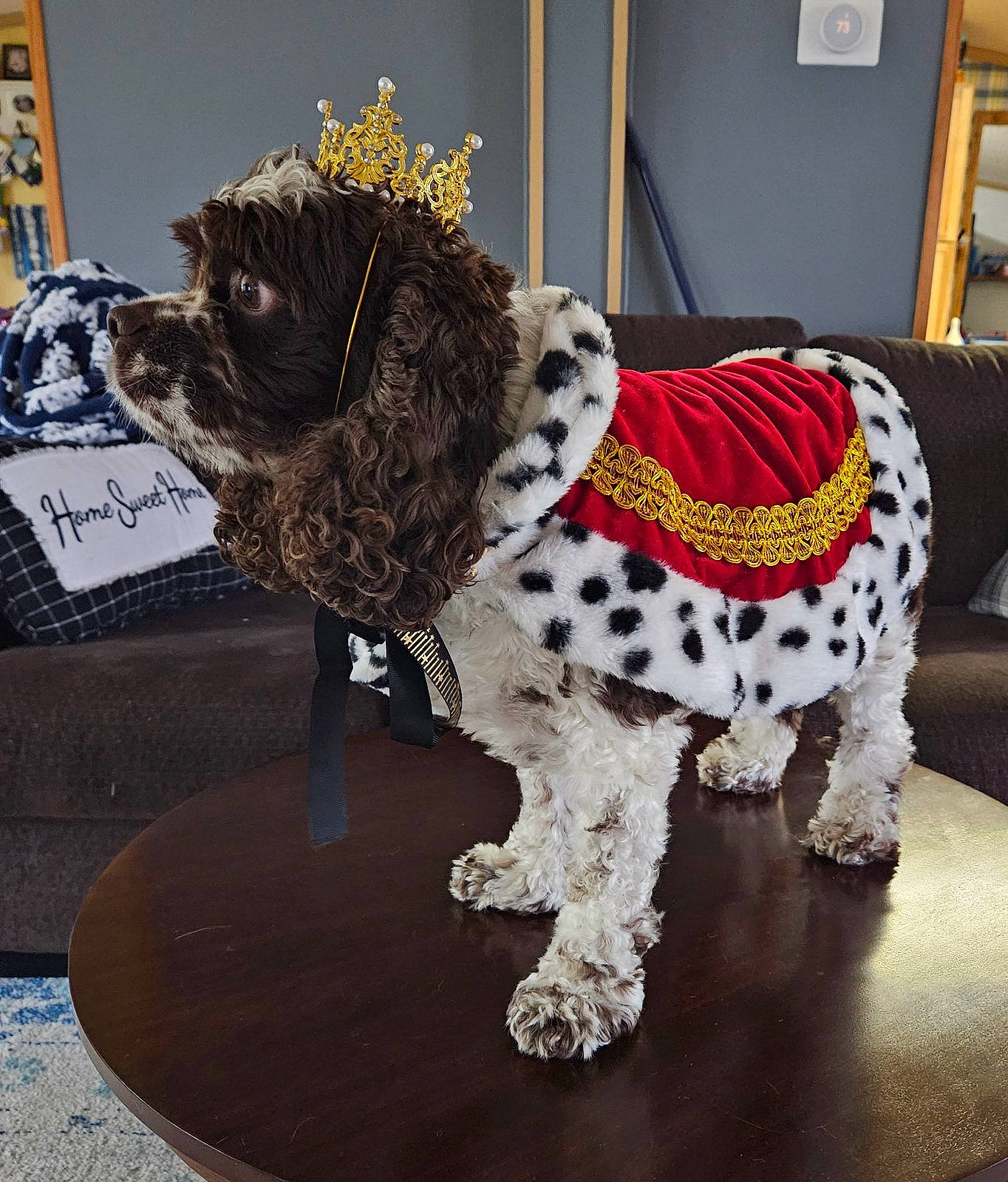 Beau is registered to the contest to win money with this photo: animal_figure, big_cats, companion_dog, creative_arts, dog_breed, event, fawn, flooring, fur, horse, livestock, metal, sculpture, snout, sporting_group, tail, terrestrial_animal, toy, wood, working_animal