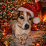 dog, santa_hat, christmas_tree, christmas_lights, fireplace, presents, snow, holiday_decorations, pine_cones, ornaments, festive, cozy, indoor, warm_lighting, red, green, white, holiday, winter, celebration