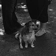 Buddy joined the competition — help win amazing prizes!