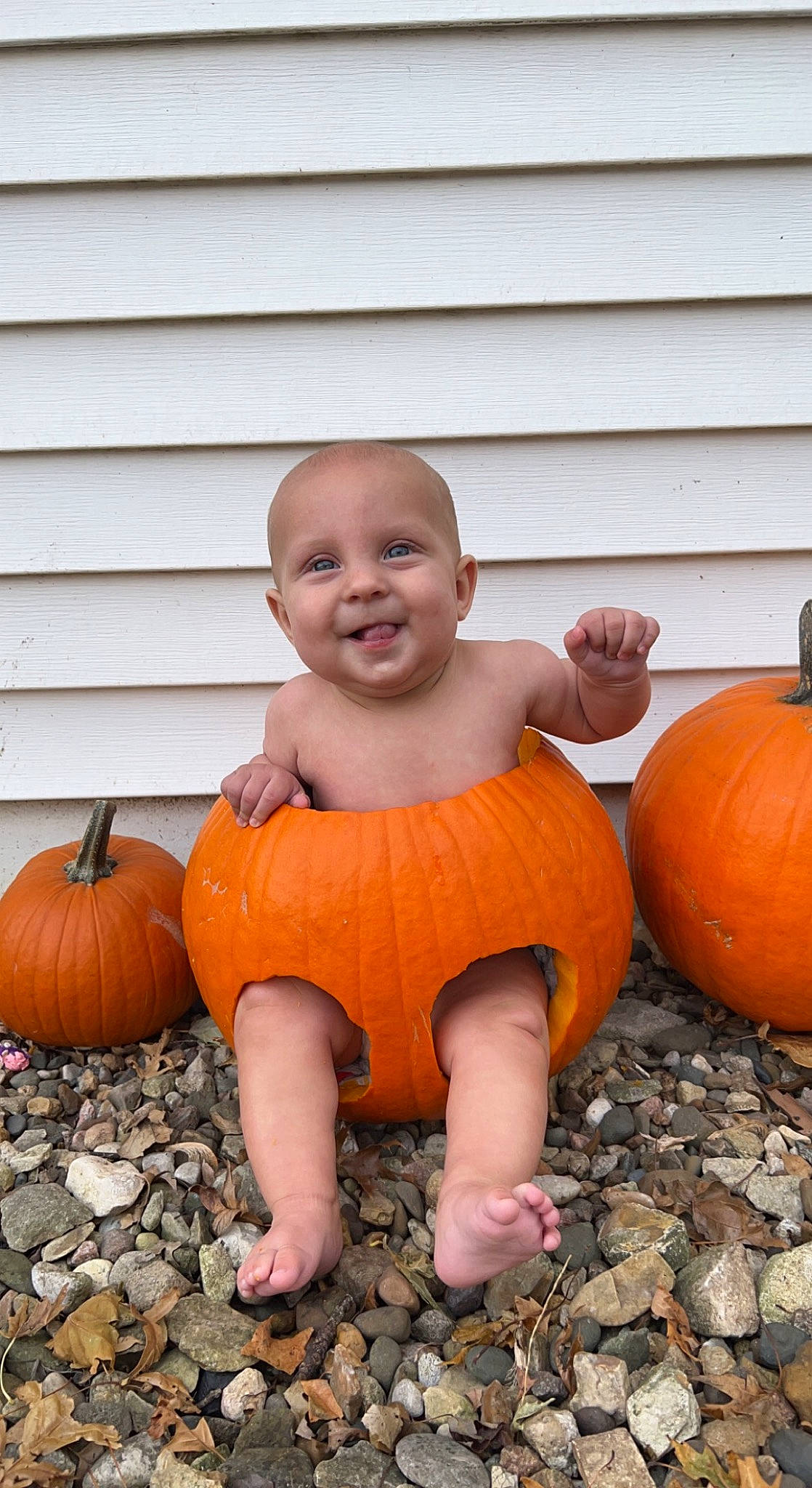 Coen joined the competition — help win amazing prizes! arm, calabaza, eye, face, facial_expression, grass, happy, head, human_body, joy, leg, orange, people_in_nature, person, plant, pumpkin, smile, squash, standing, toddler