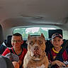Bulma a rejoint le concours — aidez-le/la à gagner de superbes lots ! car_interior, backseat, dog, child, boy, glasses, seatbelt, cap, rope, window, trees, red_shirt, sports_jersey, pet, animal, portrait, sitting, road_trip, family, casual