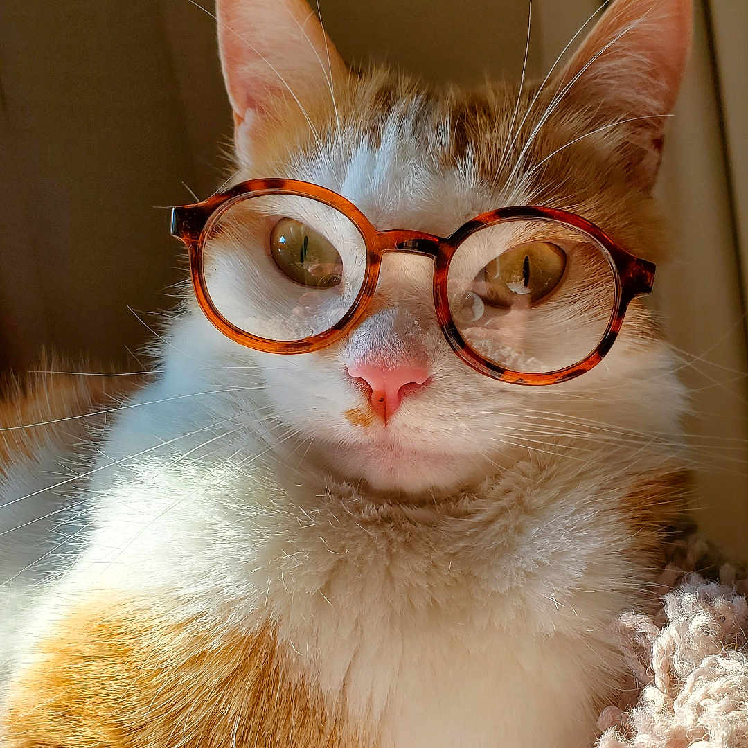 Bowie