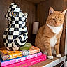 cat, orange_cat, white_fur, wooden_shelf, books, book_stack, frog_sculpture, checkered_pattern, decor, indoors, pet, animal, sitting, orange_fur, contemplative, furniture, home, colorful, still_life, object