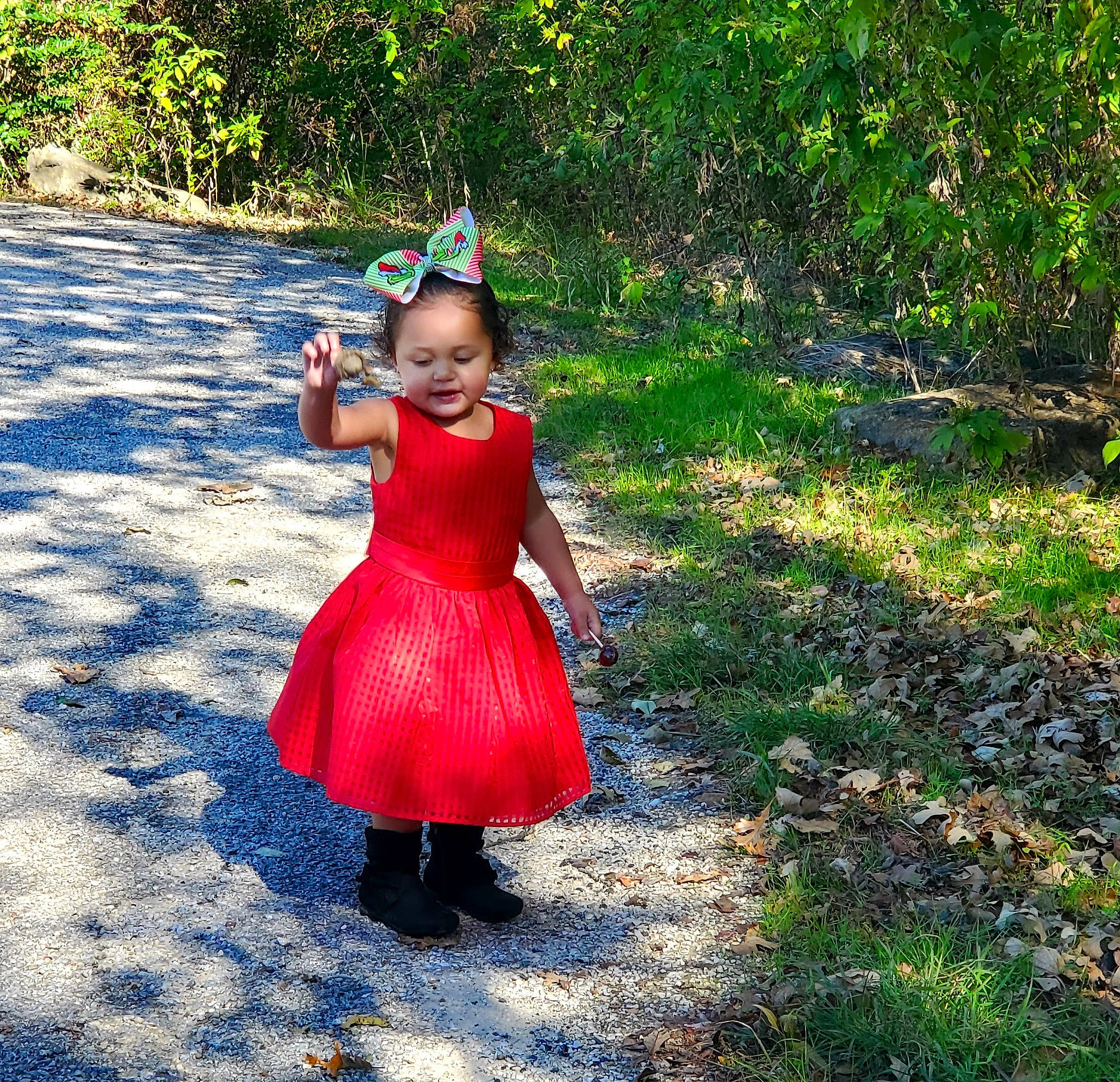 Kinleigh is registered to the contest to win money with this photo: child, costume, dress, grass, leaf, pattern, person, photography, plant, play, recreation, red, summer, toddler, tree, vacation