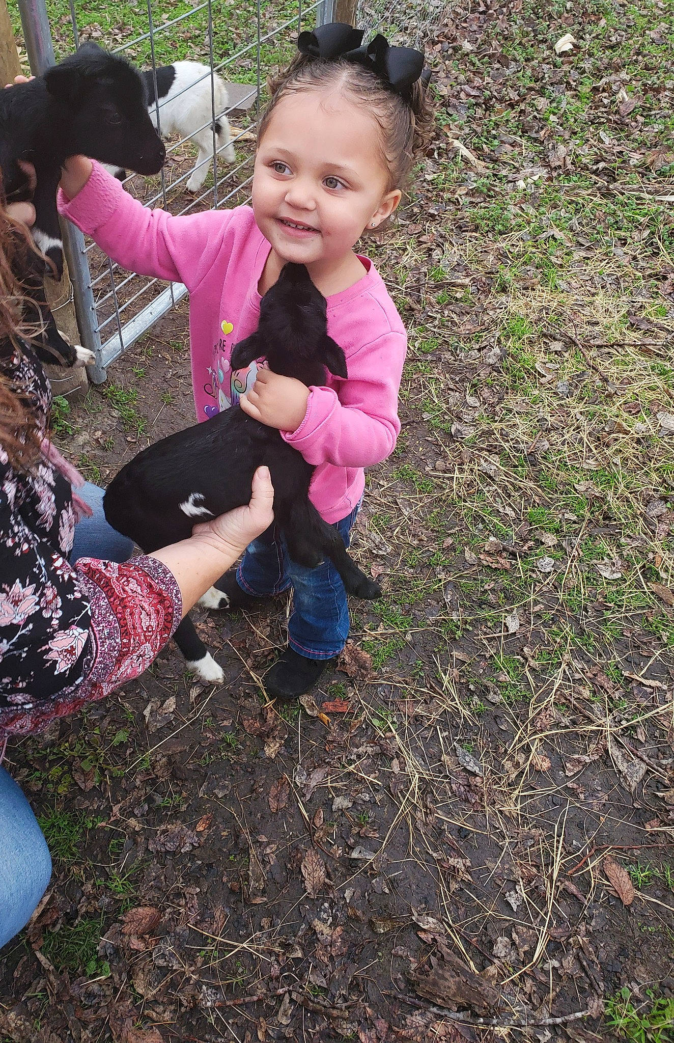 Kinleigh joined the competition — help win amazing prizes! adaptation, child, grass, joy, person, plant, play, soil, toddler, tree