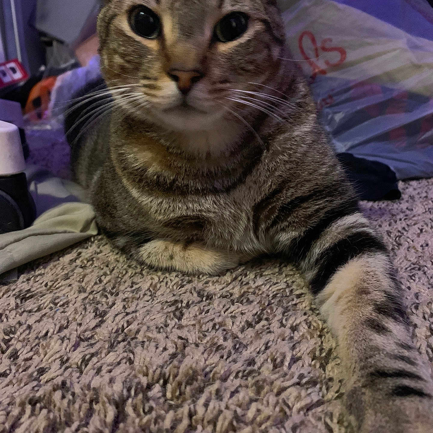 Mocha