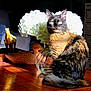 cat, tortoiseshell_cat, wooden_table, vase, white_flowers, sunlight, indoor, decor, wooden_figurines, animal_figures, furniture, pet, feline, sitting, tabletop, natural_light, domestic, cozy, home, still_life