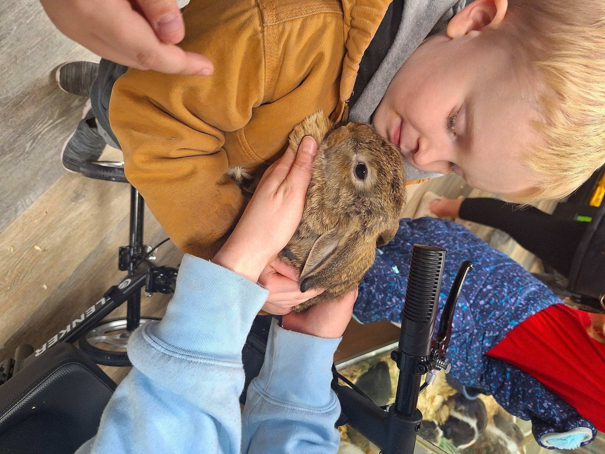 Dakota is registered to the contest to win money with this photo: child, clothing, event, eye, fawn, felidae, finger, fur, gerbil, grass, grey_squirrel, hand, person, rodent, smile, terrestrial_animal, toddler, tree, whiskers, wildlife