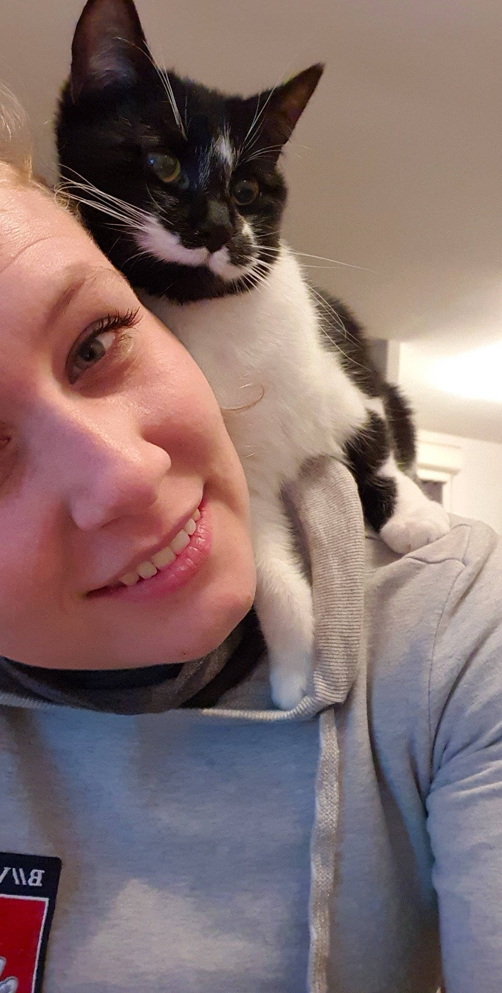 Chapline participe au concours pour gagner de l'argent avec cette photo : aegean_cat, asian, carnivore, cat, domestic_short_haired_cat, felidae, fur, small_to_medium_sized_cats, whiskers