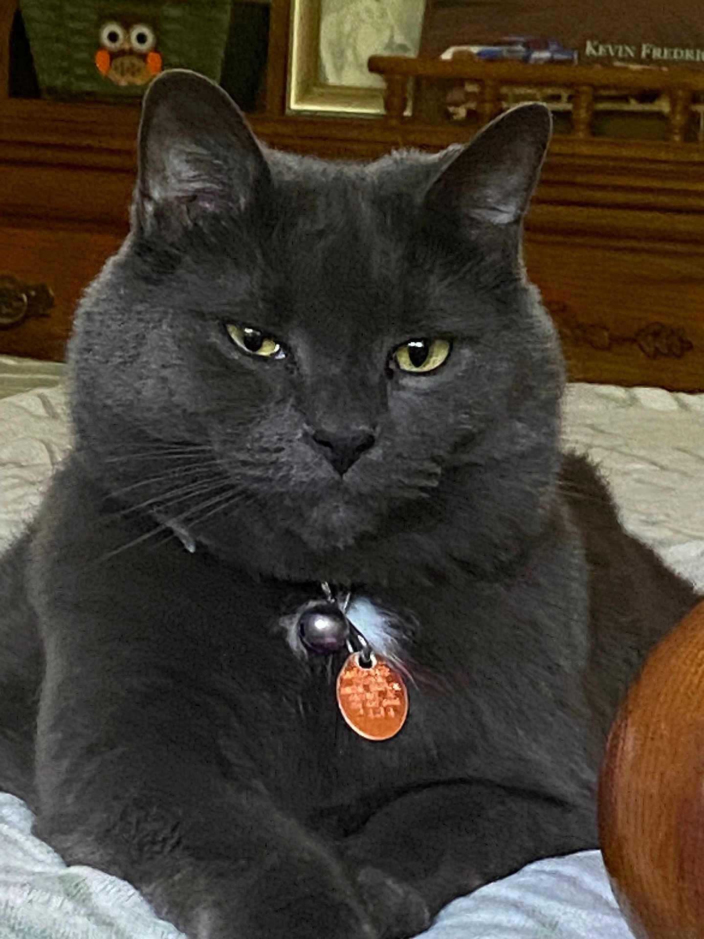 Harper
