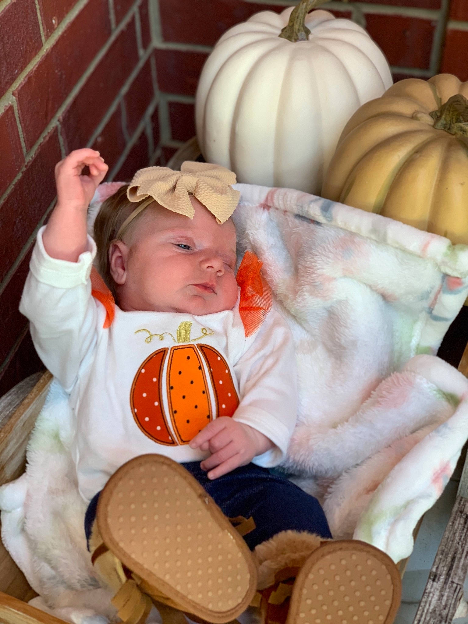 Collins joined the competition — help win amazing prizes! _and_melon_family, _gourd, baby, calabaza, child, cucumber, cucurbita, food, fruit, gourd, person, plant, produce, pumpkin, sitting, squash, toddler, vegetable, vegetarian_food, winter_squash